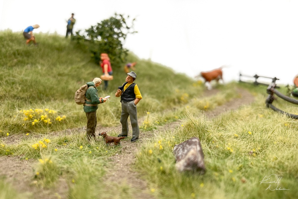 Rinderkoppel, Begrasung auf einem Mini-Diorama mit dem RTS-Greenkeeper