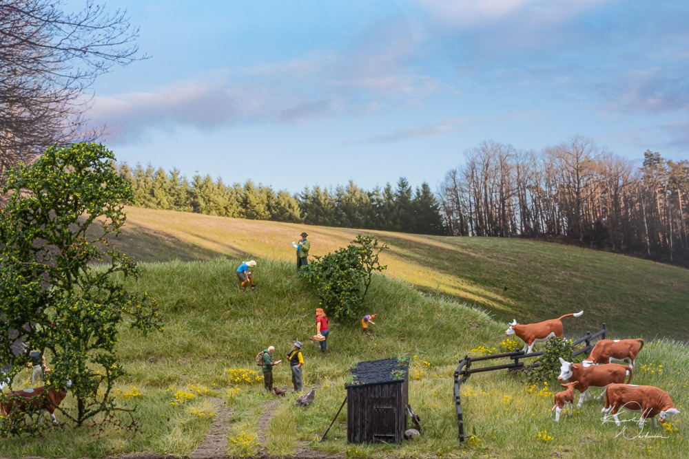 Professionelle Modellbau-Fotografie des Rinderkoppel-Minidioramas - Landschaftsgestaltung mit RTS Greenkeeper Workshops